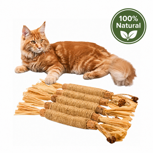 Kitly™ Sticks Dentales de Silvervine