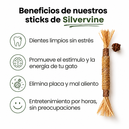 Kitly™ Sticks Dentales de Silvervine